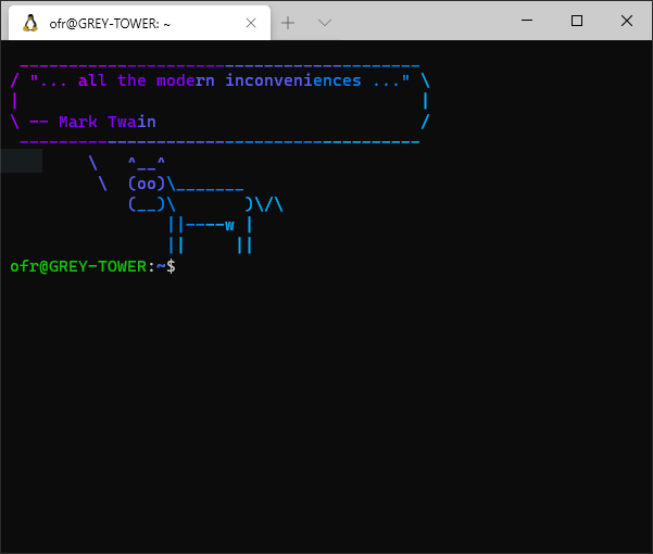 Figure 1: A screenshot of `bash` prompt displaying a colourful message.